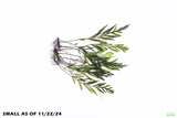 Bolbitus Heudelotii