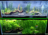 A+ "Must Have for Planted Tanks" Plant Booster GROWTH JUICE- (Our OWN Special Aquarium Plant Fertilizer) #1