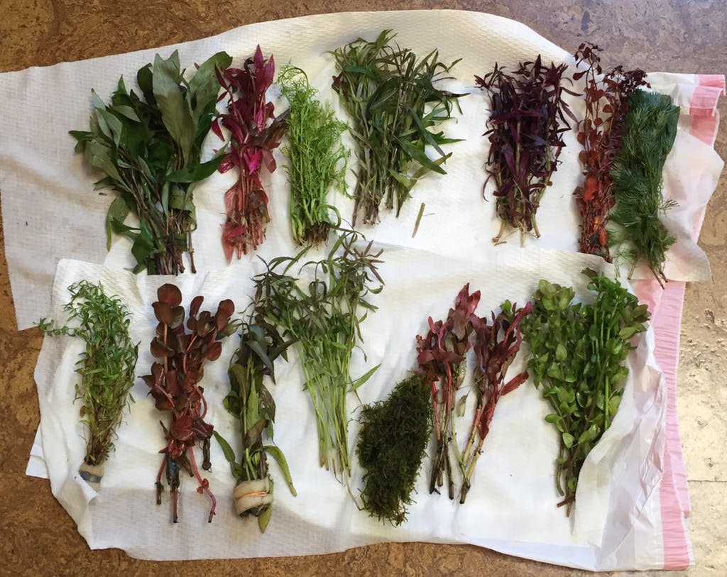 Customer Provided Photo- Multiple Combos shown!