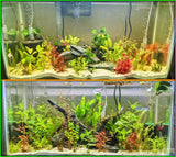 "Great Liquid Fertilizer! I have been using Dustin's Growth Juice along with Dustin's Iron for about a month in my 30 gallon tank. I can't believe how well the plants in my tank are thriving. Very safe for shrimp as well I have 3 Cherry Shrimps in my tank and have not seen any adverse effects. Will definitely be purchasing more Dustin's Growth Juice once I get close to running out." -John T.