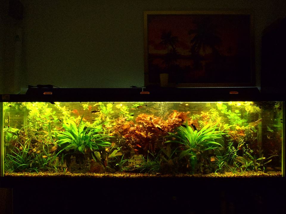 Juice growth from Dustin got my plants crazy bigger. - Michel C.