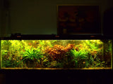 Juice growth from Dustin got my plants crazy bigger. - Michel C.