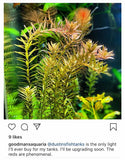 Standard Double LED - "The Standard in Planted Aquarium Lighting" BF24