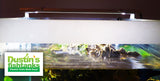 Standard Double LED - "The Standard in Planted Aquarium Lighting" BF24
