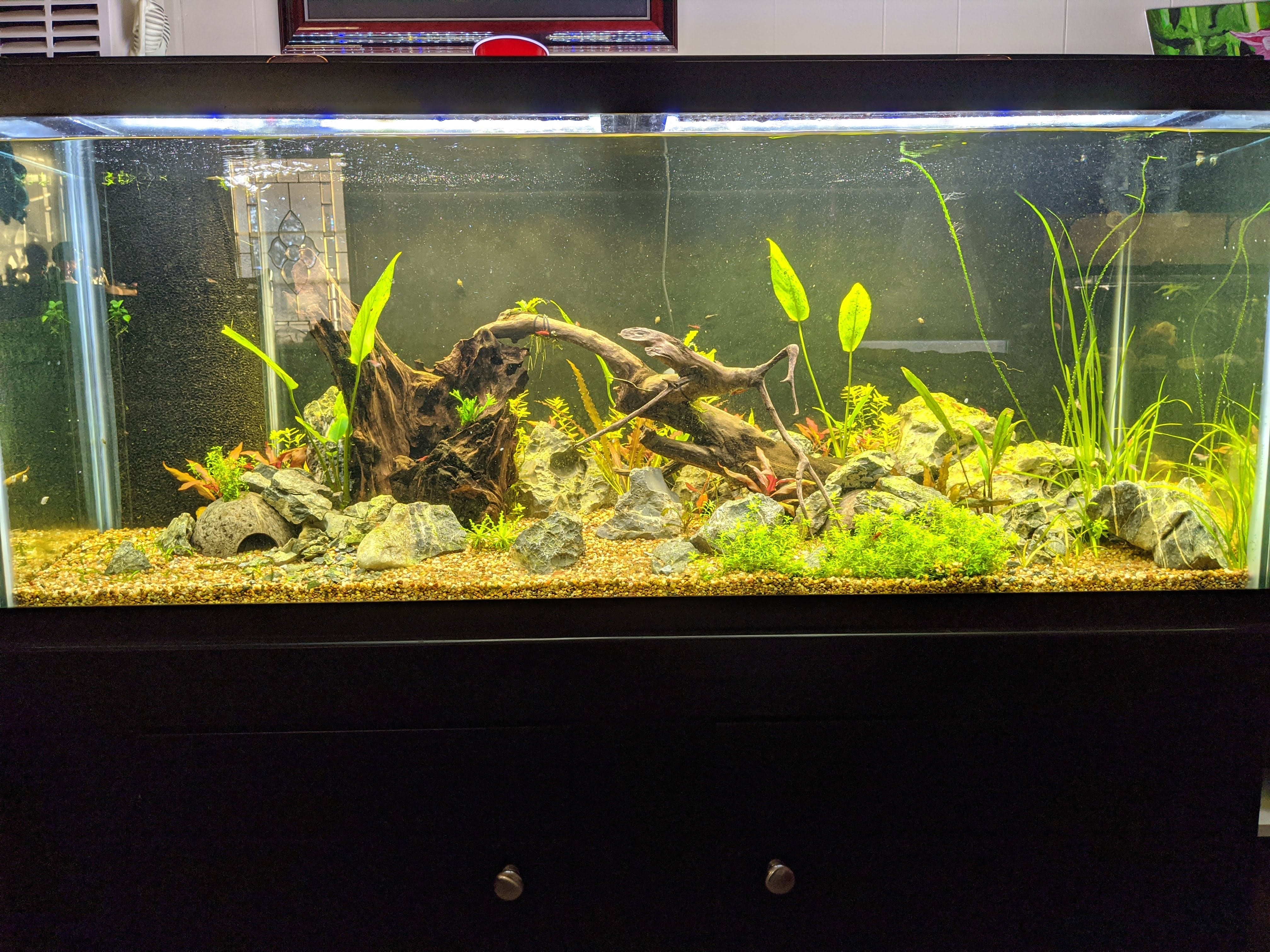 Dustin's Dirt Packs. (Aquarium Substrate Our own Premier Mix)