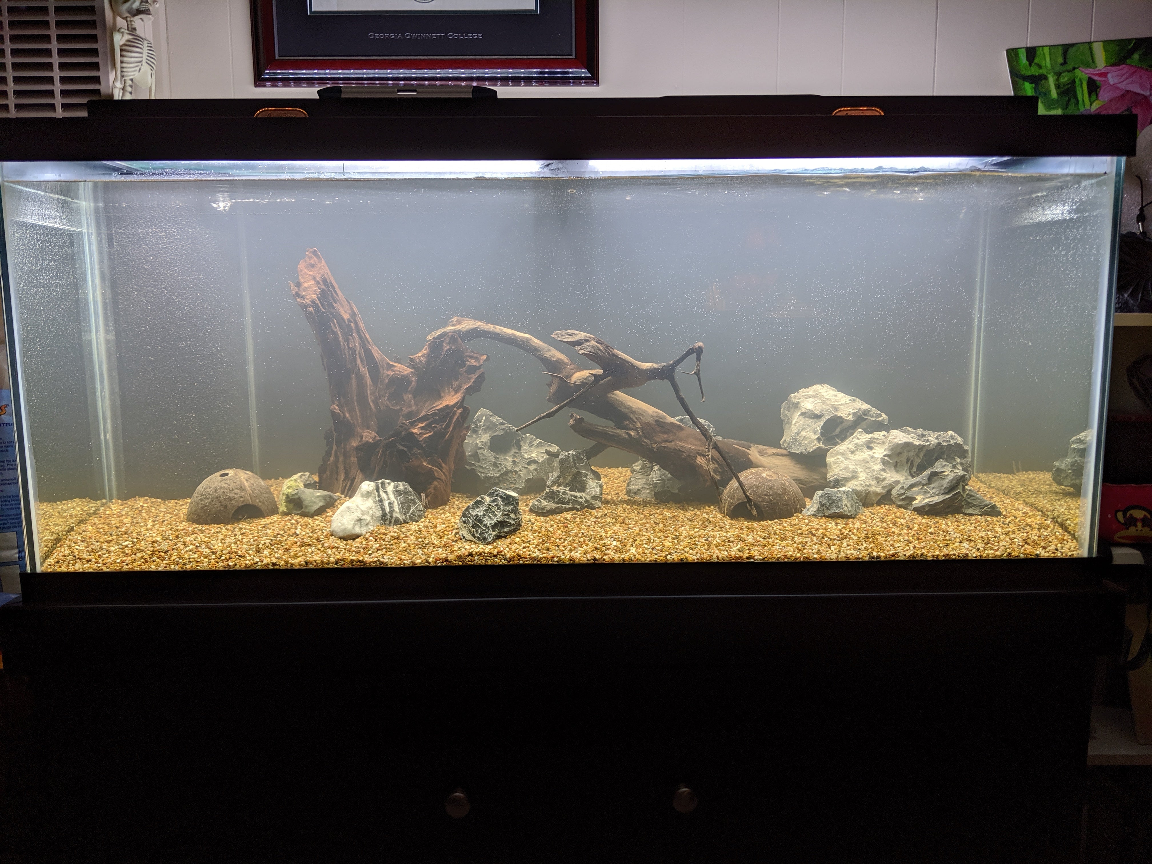 Dustin's Dirt Packs. (Aquarium Substrate Our own Premier Mix)