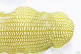 Madagascar Lace Plant_Aponogeton Madagascariensis_Aquarium Plant For Sale_Aquarium Plants