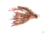 Myriophyllum Matogrossense Dark and Fluffy Aquarium Plant For Sale_ Aquarium Plants For Sale_Red Plants
