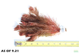 Myriophyllum Matogrossense Dark and fluffy red_Aquarium plants for sale_aquarium plant