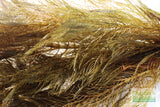 Myriophyllum matogrossense (Dark and Fluffy)
