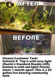 Standard Double LED - "The Standard in Planted Aquarium Lighting" BF24