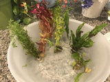 Our Best Selling “Beautiful Plants" Combo Get 4 plants for ONLY $19.95