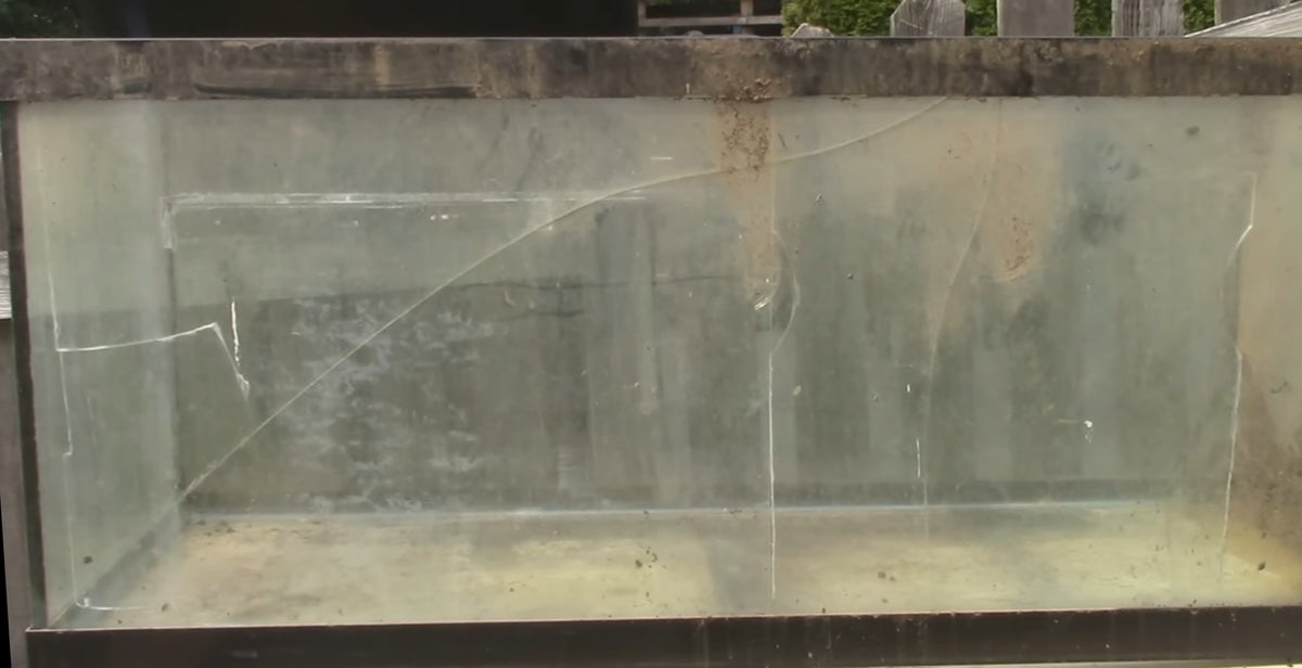 How to Fix Up Broken Aquariums – DustinsFishtanks