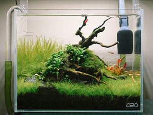 Nano Tank? NaNo Problem.