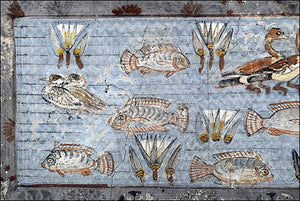 Fishtory Series: The History of Aquariums and Fishkeeping