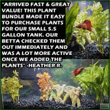 Can_tKillItplantedcombo_HeatherR