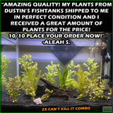 Can_tKillItplantedcombo_aleahs.