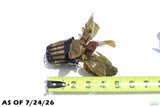 Cryptocoryne Albida_Crypt_Aquarium Plant For Sale