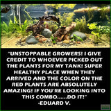 D_sStandardAquariumPlantComboPlantPack_EduardV.