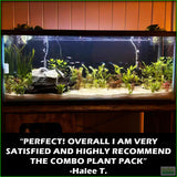 D_sStandardAquariumPlantComboPlantPack_HaleeT.