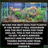 D_sStandardAquariumPlantComboPlantPack_ShaunB