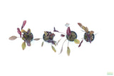 Echinodorus AFlame_Sword_Aquarium Plant for sale