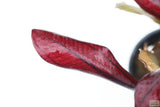 Echinodorus AFlame_Sword_Aquarium Plant for sale