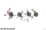 Echinodorus AFlame_Sword_Aquarium Plant for sale
