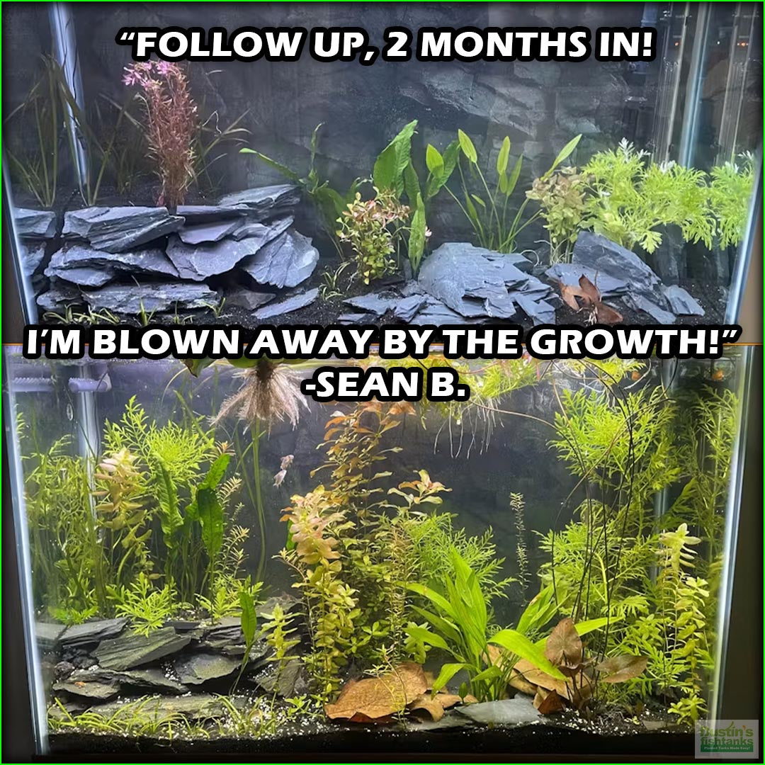 fish aquarium accessories near me GREAT START for a planted tank" The Beginner's Planted Aquarium Combo – DustinsFishtanks