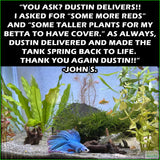 OurBestSelling_BeautifulPlants_Combo_JohnS.