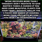 OurBestSelling_BeautifulPlants_Combo_LizaL.