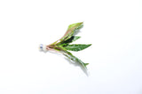 Cryptocoryne beckettii