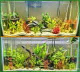 "Great Liquid Fertilizer! I have been using Dustin's Growth Juice along with Dustin's Iron for about a month in my 30 gallon tank. I can't believe how well the plants in my tank are thriving. Very safe for shrimp as well I have 3 Cherry Shrimps in my tank and have not seen any adverse effects. Will definitely be purchasing more Dustin's Growth Juice once I get close to running out." -John T. 