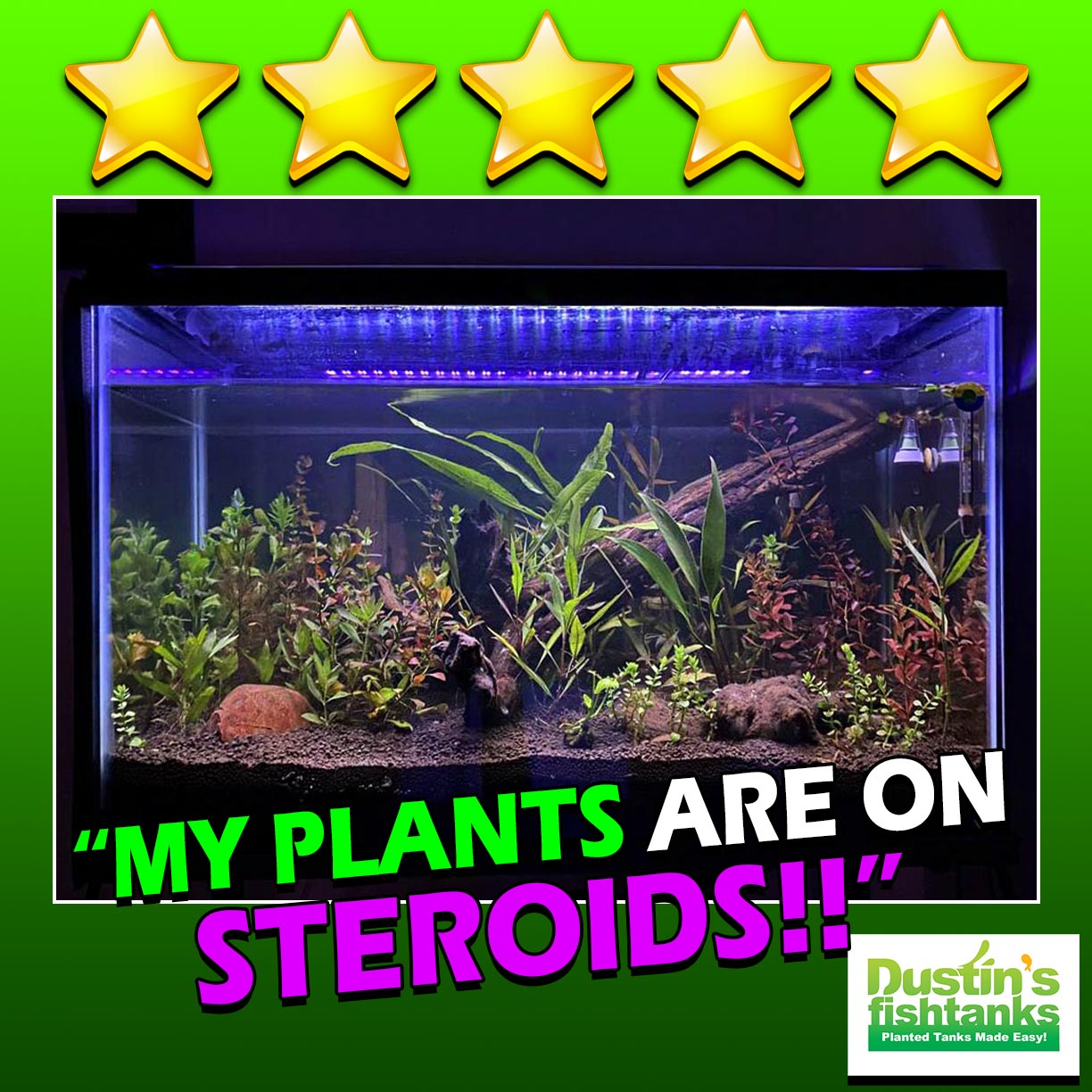 Customer Tank_A+ "Must Have for Planted Tanks" Plant Booster GROWTH JUICE- (Our OWN Special Aquarium Plant Fertilizer) #1