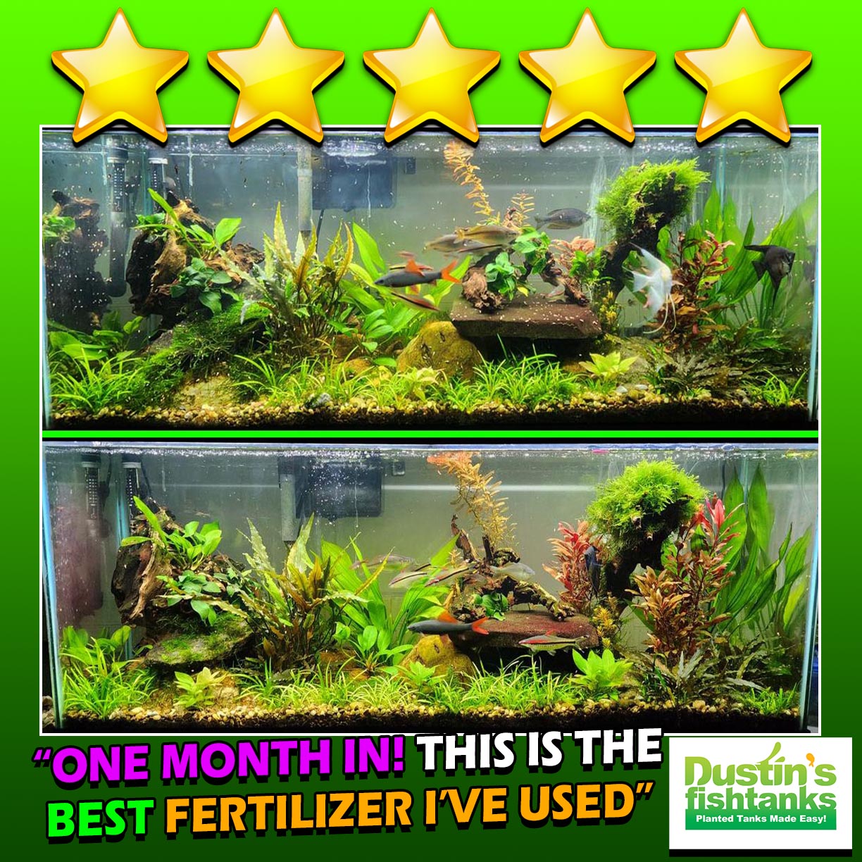 A Must Have for Planted Tanks Plant Booster GROWTH JUICE Our OWN DustinsFishtanks