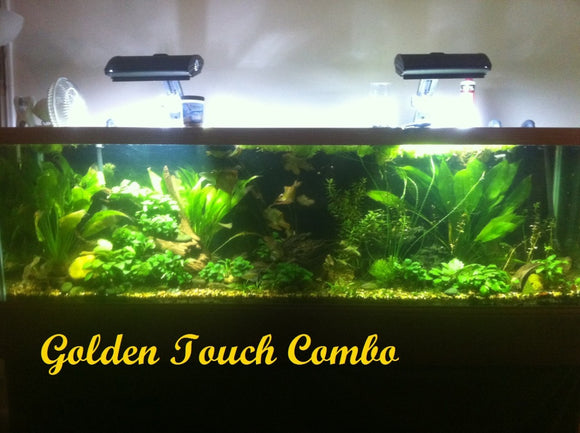 D's Golden Touch Combo – DustinsFishtanks