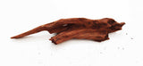 Malaysian Driftwood (Small accent Driftwood)  SS