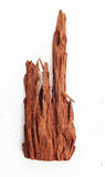 Malaysian Driftwood (Small accent Driftwood)  SS