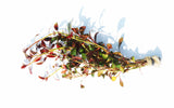 Ludwigia Glandulosa The ultimate mix of ease and color_aquarium plant for sale_aquarium plants