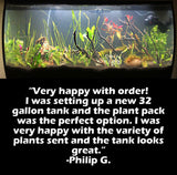D's Standard Aquarium Plant  Combo Plant Pack (BEST VALUE)
