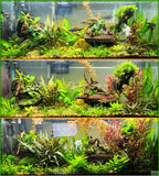 Top photo is before using the product, middle photo is 1 month in, bottom photo is 3 months in. This is the best fertilizer I've used. Plants grow like crazy once you figure out the right amount for your setup. I used 4 pumps every other day for the 55 gal pictured." -Nate B. left the following 5 ⭐⭐⭐⭐⭐star review for the product A+ "Must Have for Planted Tanks" Plant Booster GROWTH JUICE- (Our OWN Special Aquarium Plant Fertilizer) #1