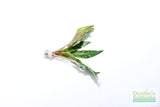 Cryptocoryne beckettii