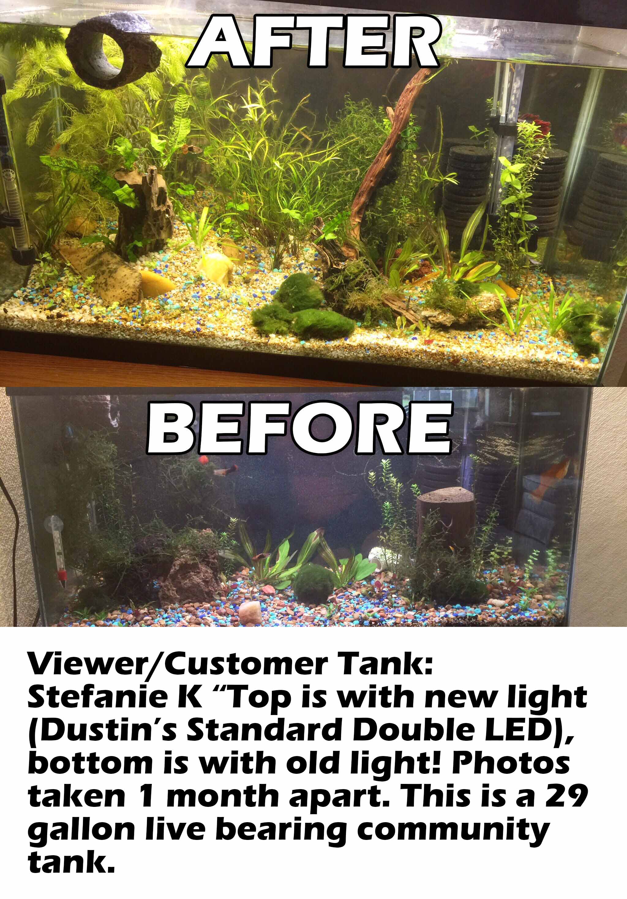 72 aquarium light best sale